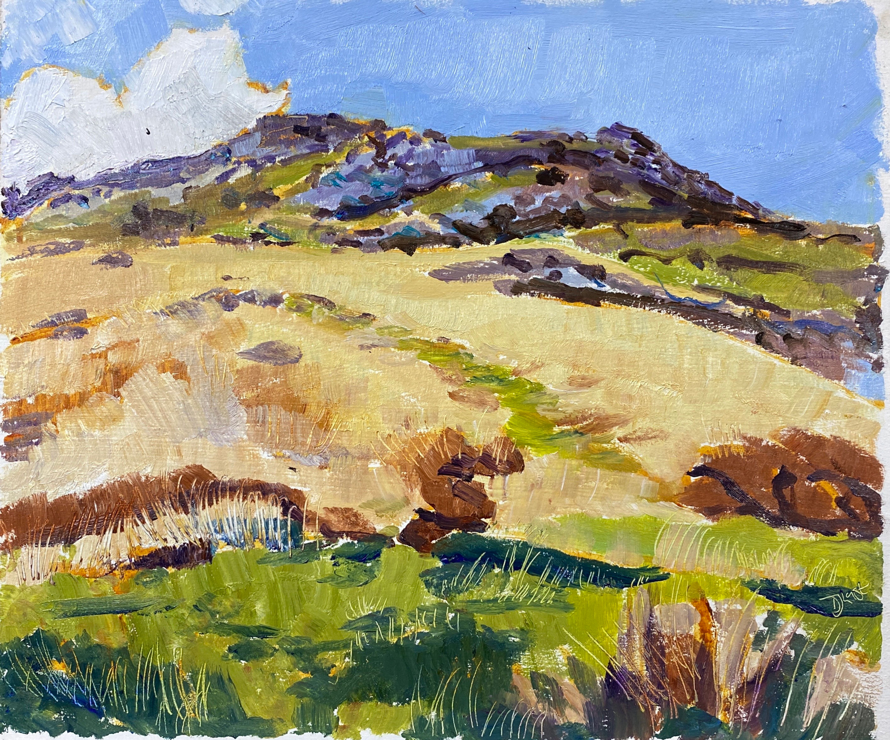 Yes Tor, Dartmoor - 15/11/2022