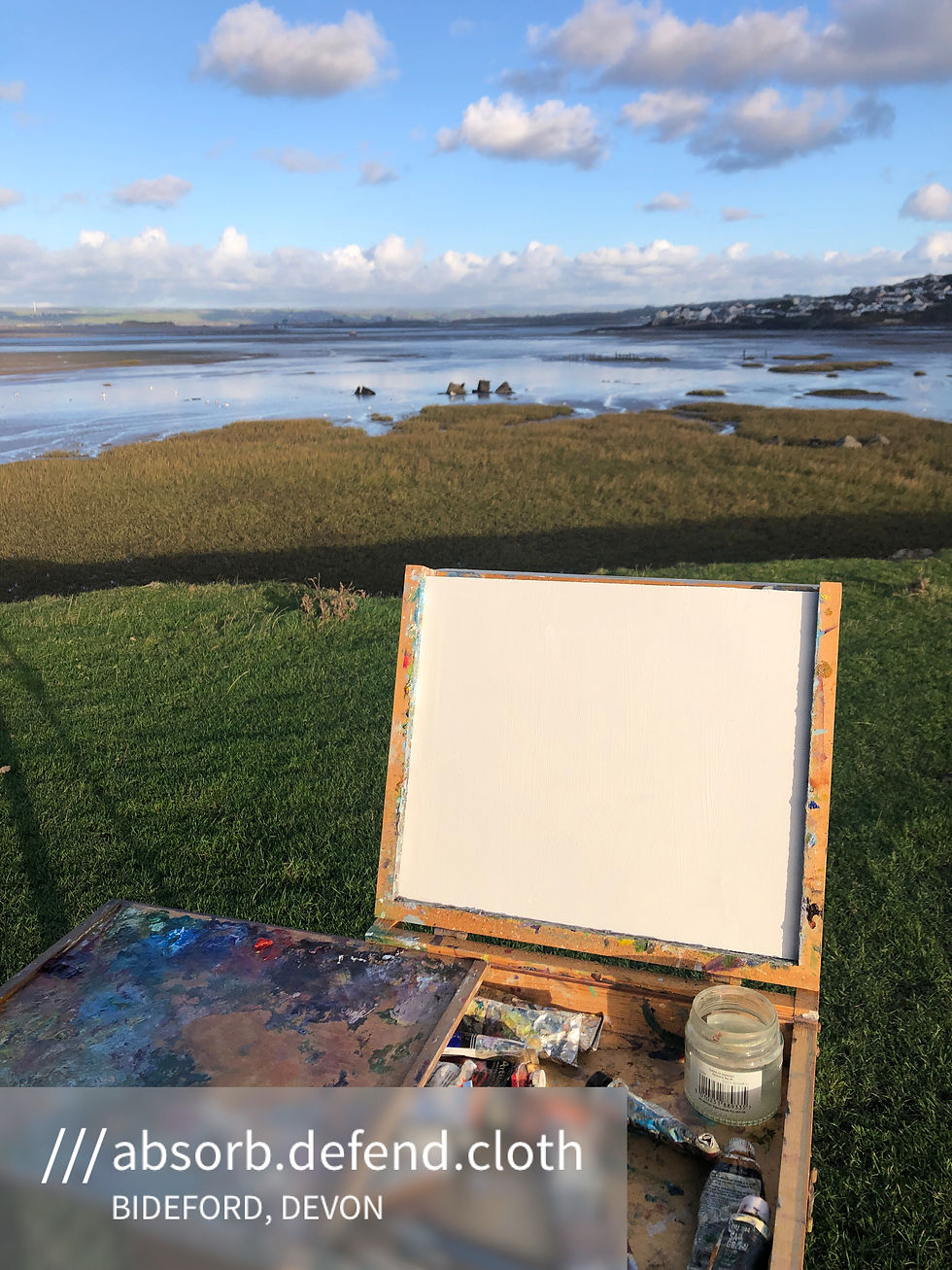 Thumbnail: Northam Burrows, Grey Sand Hill 19.11.2020