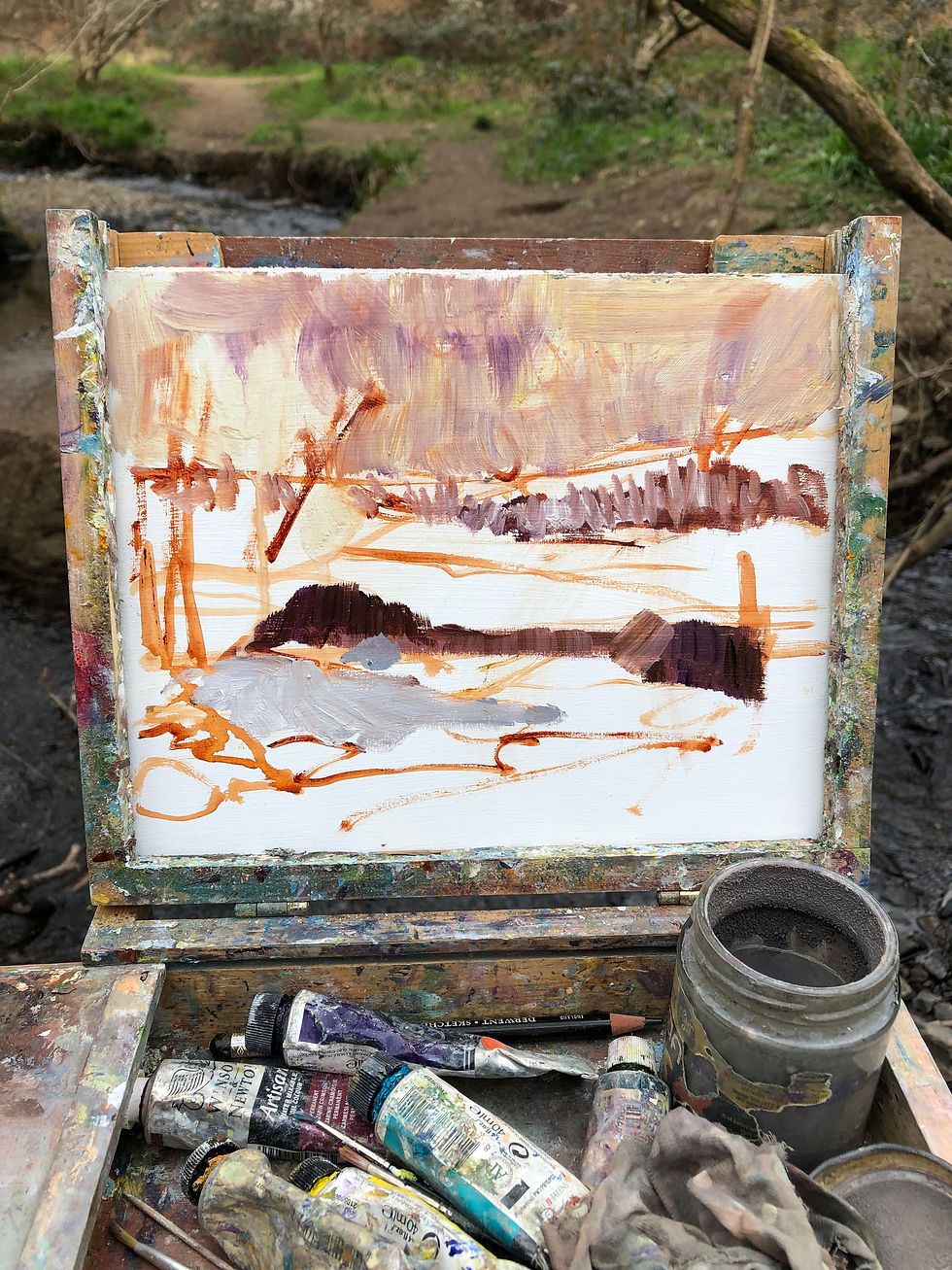 Thumbnail: Stream Torrington Common - 29/03/2022