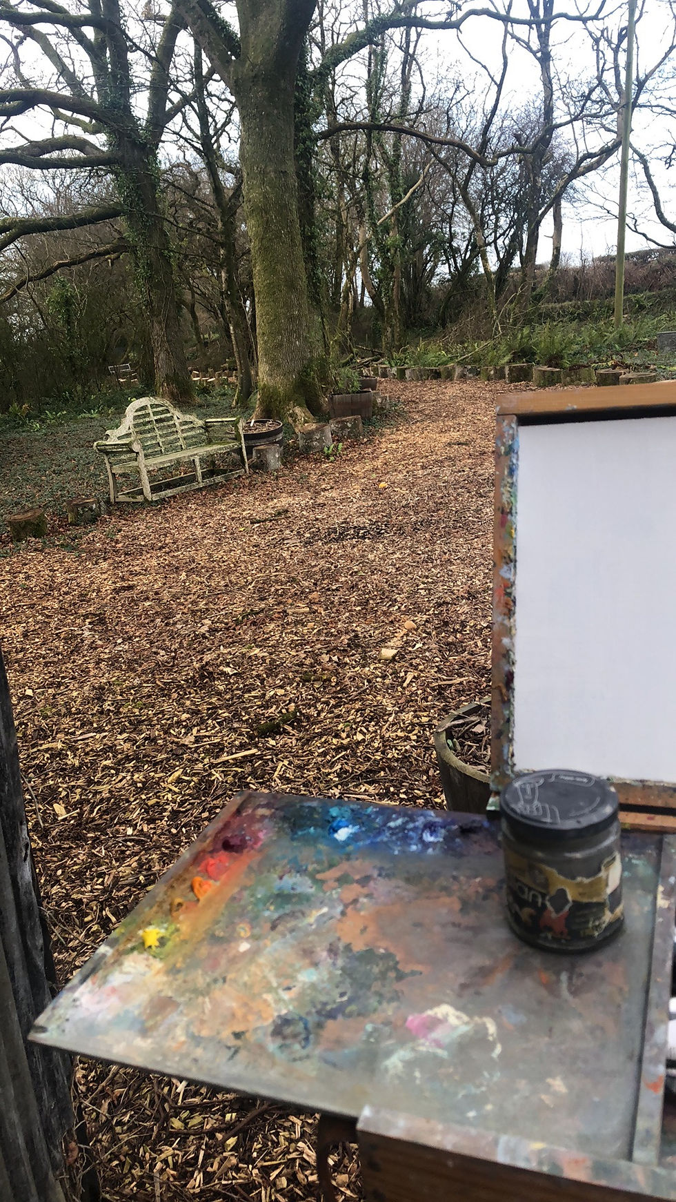 Thumbnail: Garden Field, Dolton 1 January 2022
