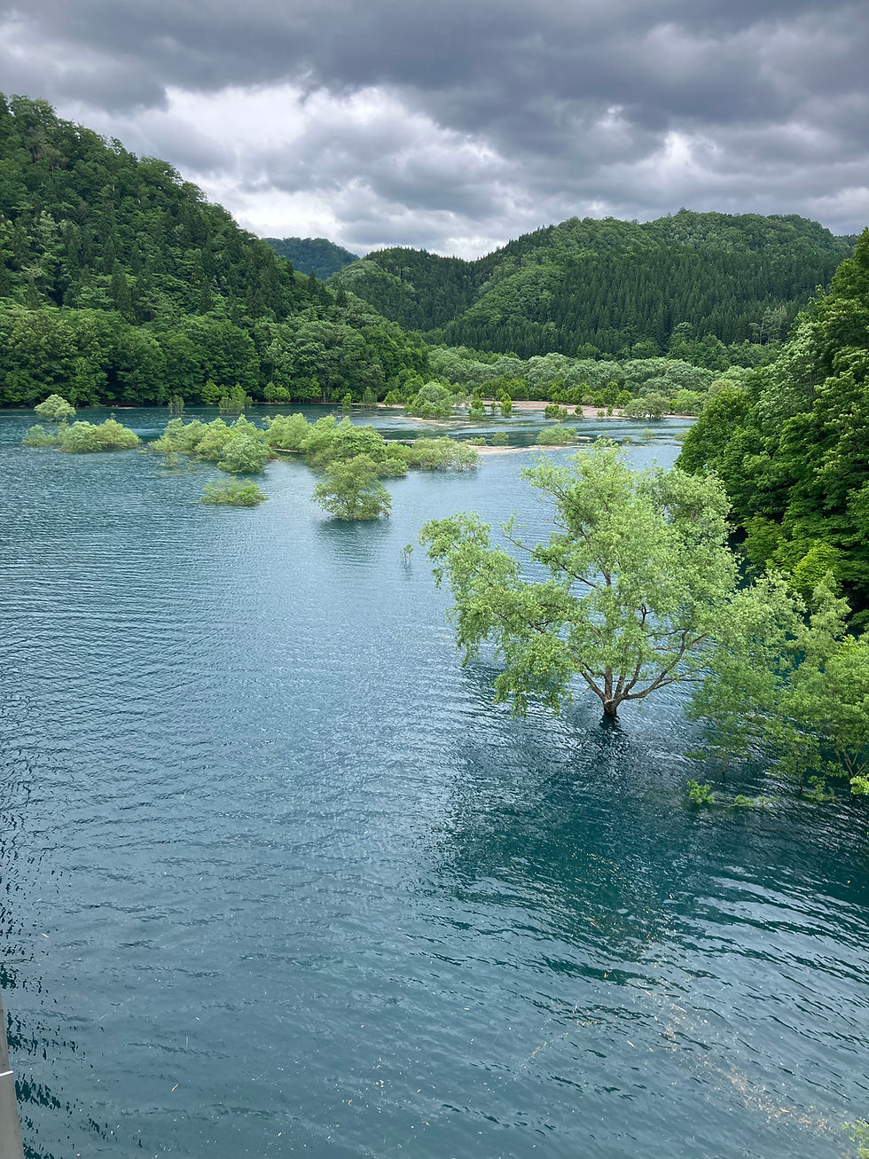 定休日のお知らせ
