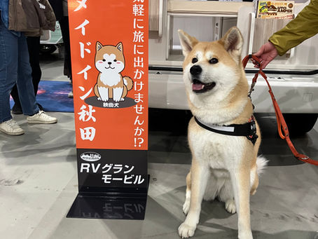 定休日のお知らせ