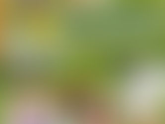 定休日のお知らせ