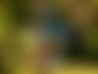 Čo býva najčastejším dôvodom rozpadu partnerstiev? Prečo komunikácia zlyháva?