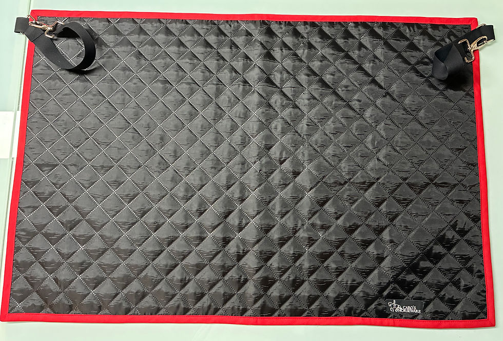 Miniaturbild: Maßgefertigter Boxenvorhang