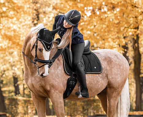 Junge Frau reitet auf Pferd, Herbststimmung, Pferd mit schwarzer Ausrüstung HHMP-Shop