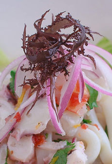 WhatsApp Image 2021-06-14 at 10.43.56 AM