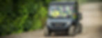 Cushman Hauler 4x4