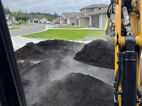 Yard Excavation