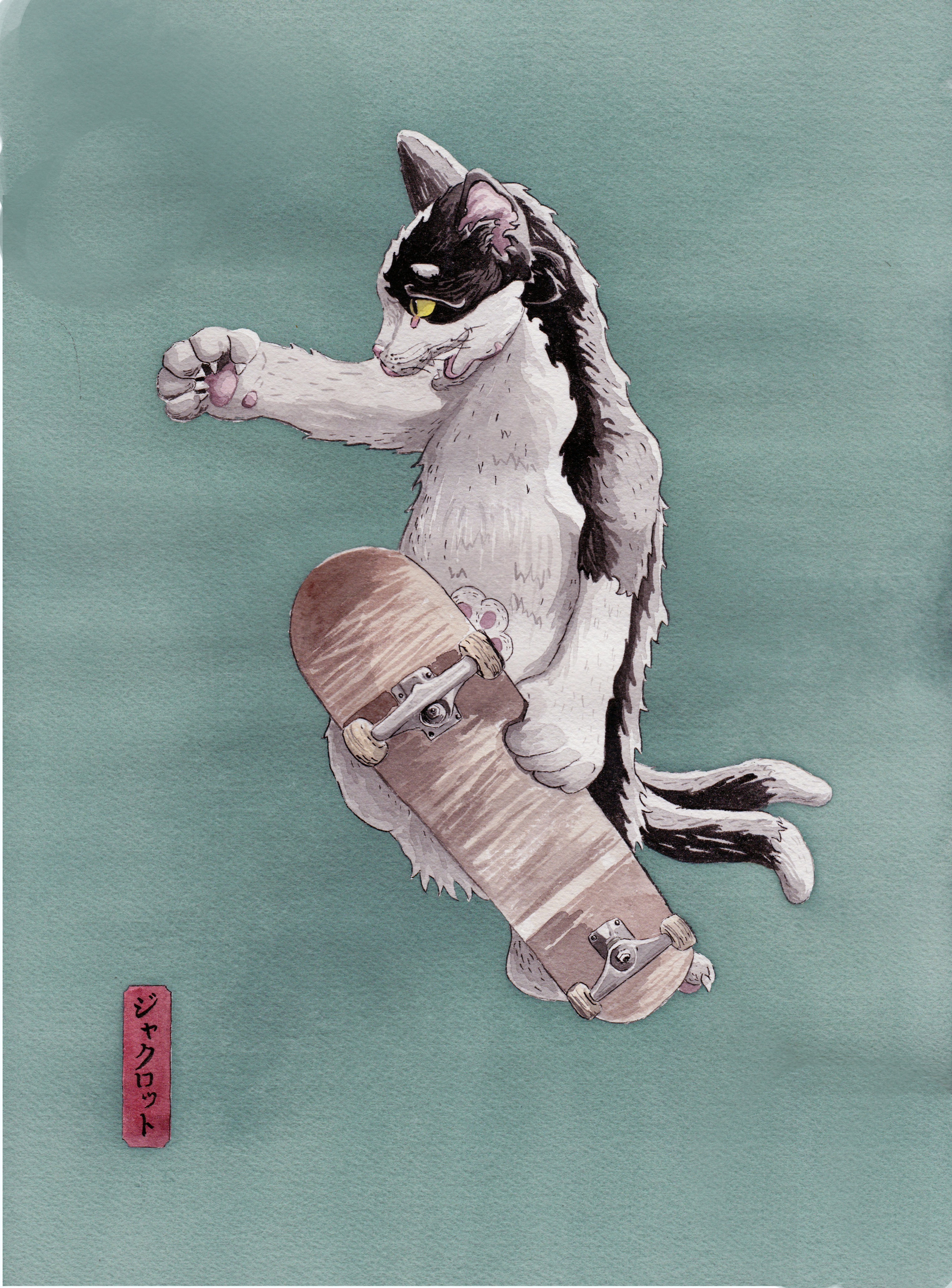 Nekomata skate N4