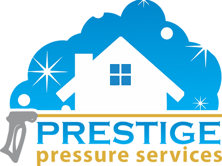 Prestige pressure cleaning