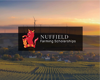 Nuffield_edited.png