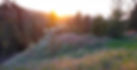 Slider_02.jpg