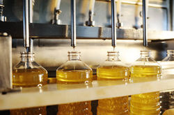 production biodiesel usine