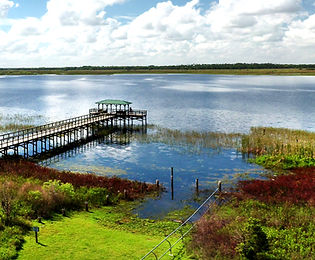 Osceola County 
Market Analysis