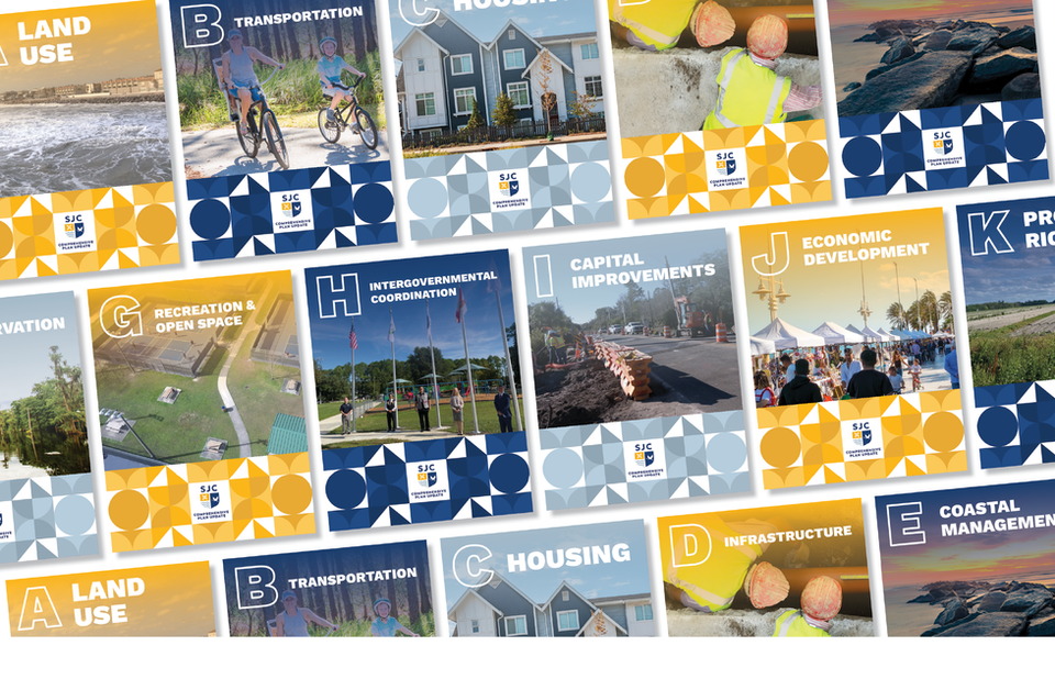 Branding for Website-St Johns_Artboard 3 copy