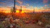 Arizona sunset with cacti