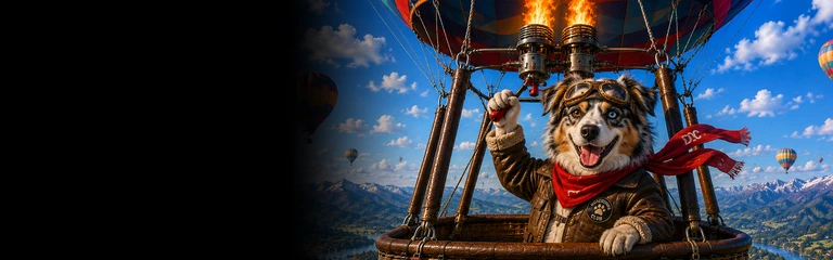 Mini Australian Shepherd Hot Air Ballooning