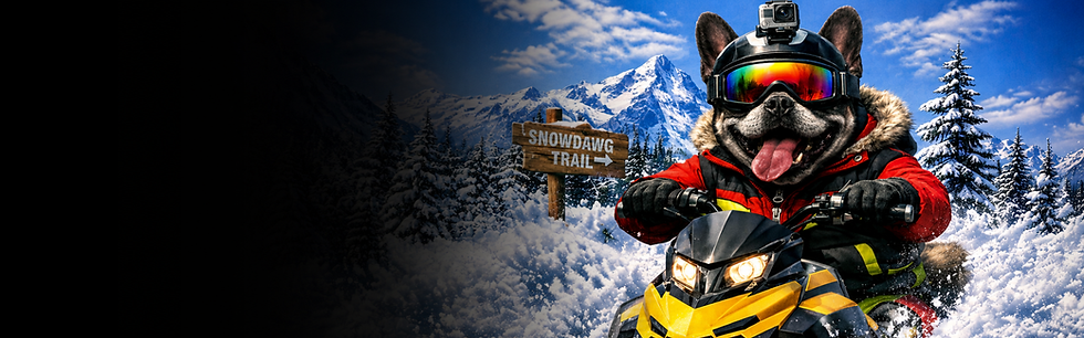 French Bulldog - Snowmobiling - Hero 1920x600.png