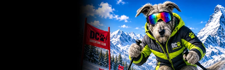 Irish Wolfhound Skiing