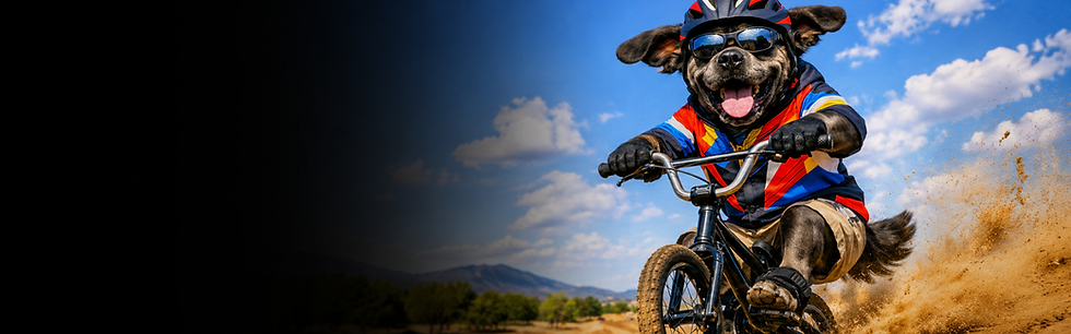 Cane Corso - BMX - Hero 1920x600.png