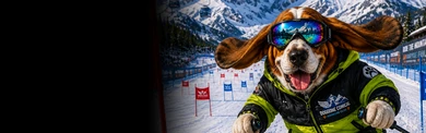 Basset Hound Alpine Skiing
