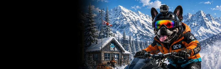 French Bulldog Snowmobiling