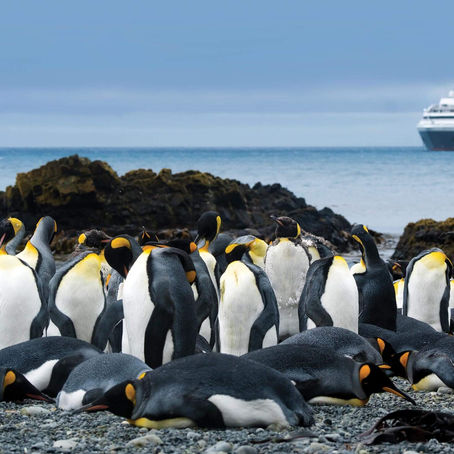 Antártida: turismo de elite encubierto
