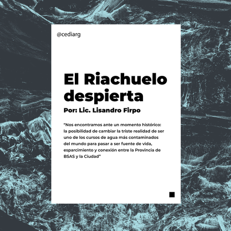 El Riachuelo despierta