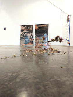 La rive des images, duo show, galerie Françoise Besson, Lyon, 2024