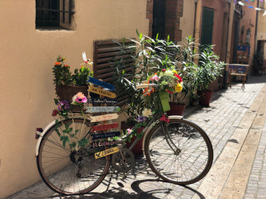 IMG_0603.JPEG