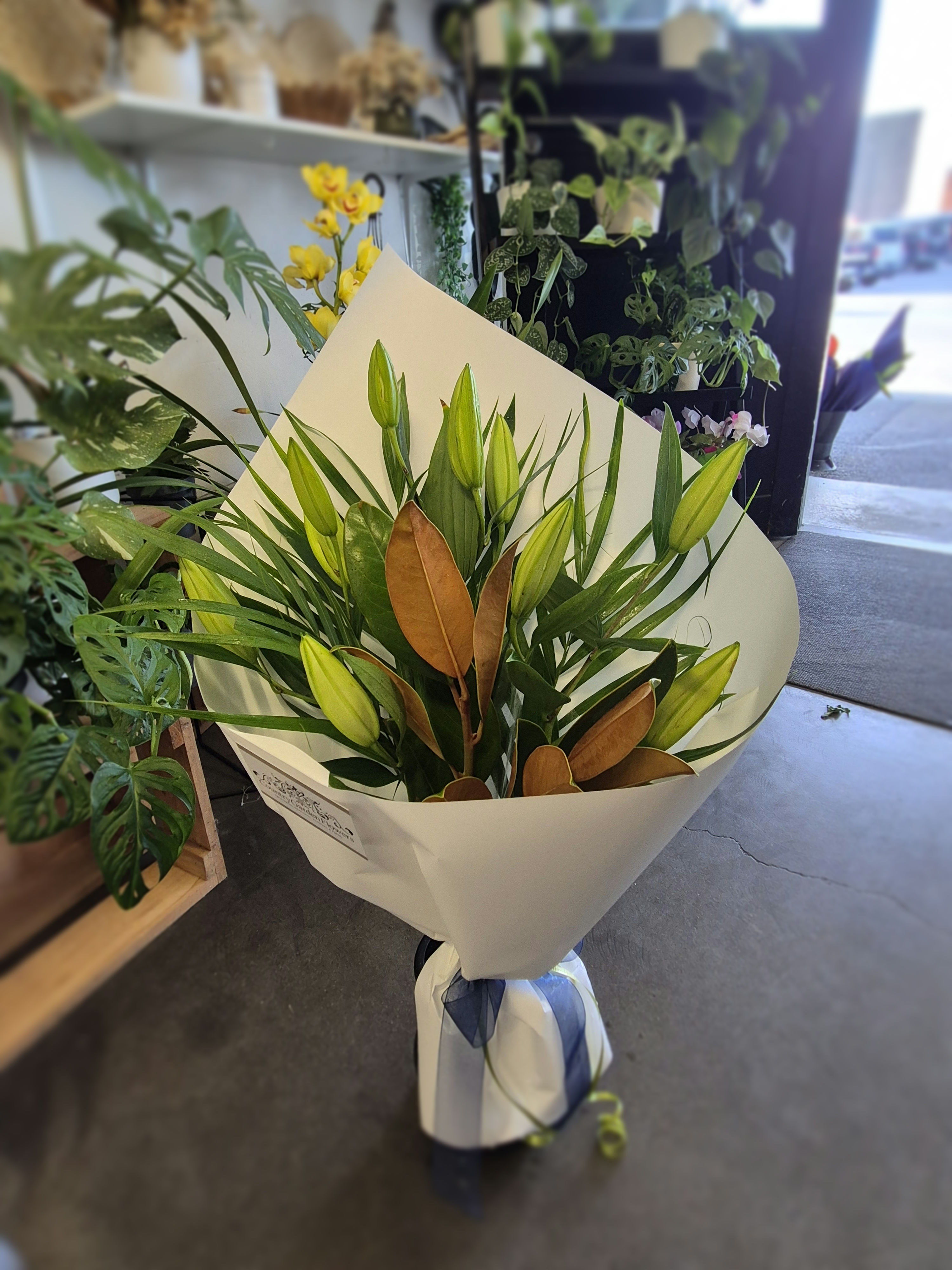 Oriental Lilies - Growers Special