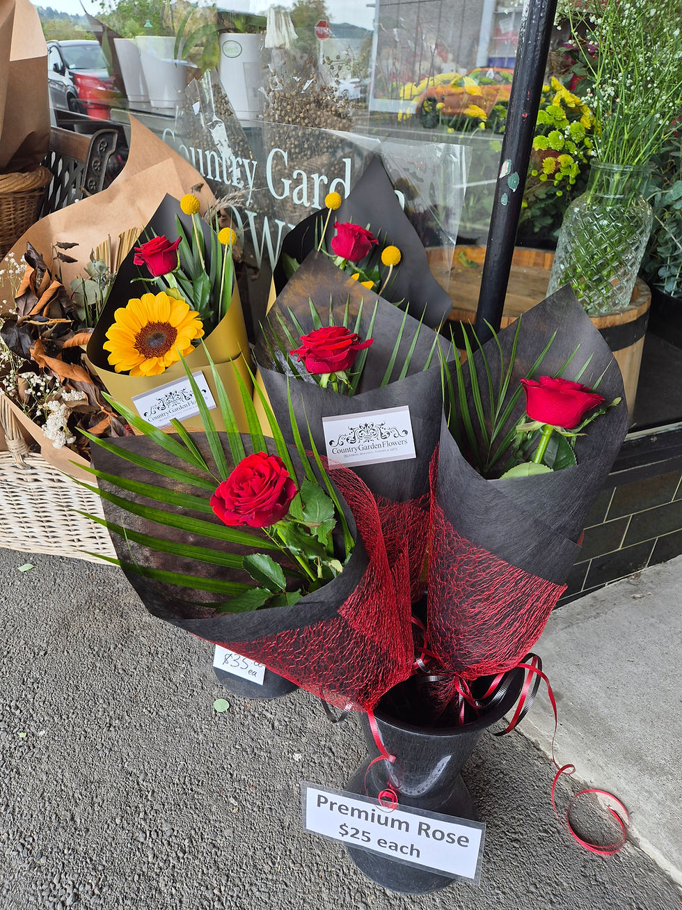 Thumbnail: Single Red Rose