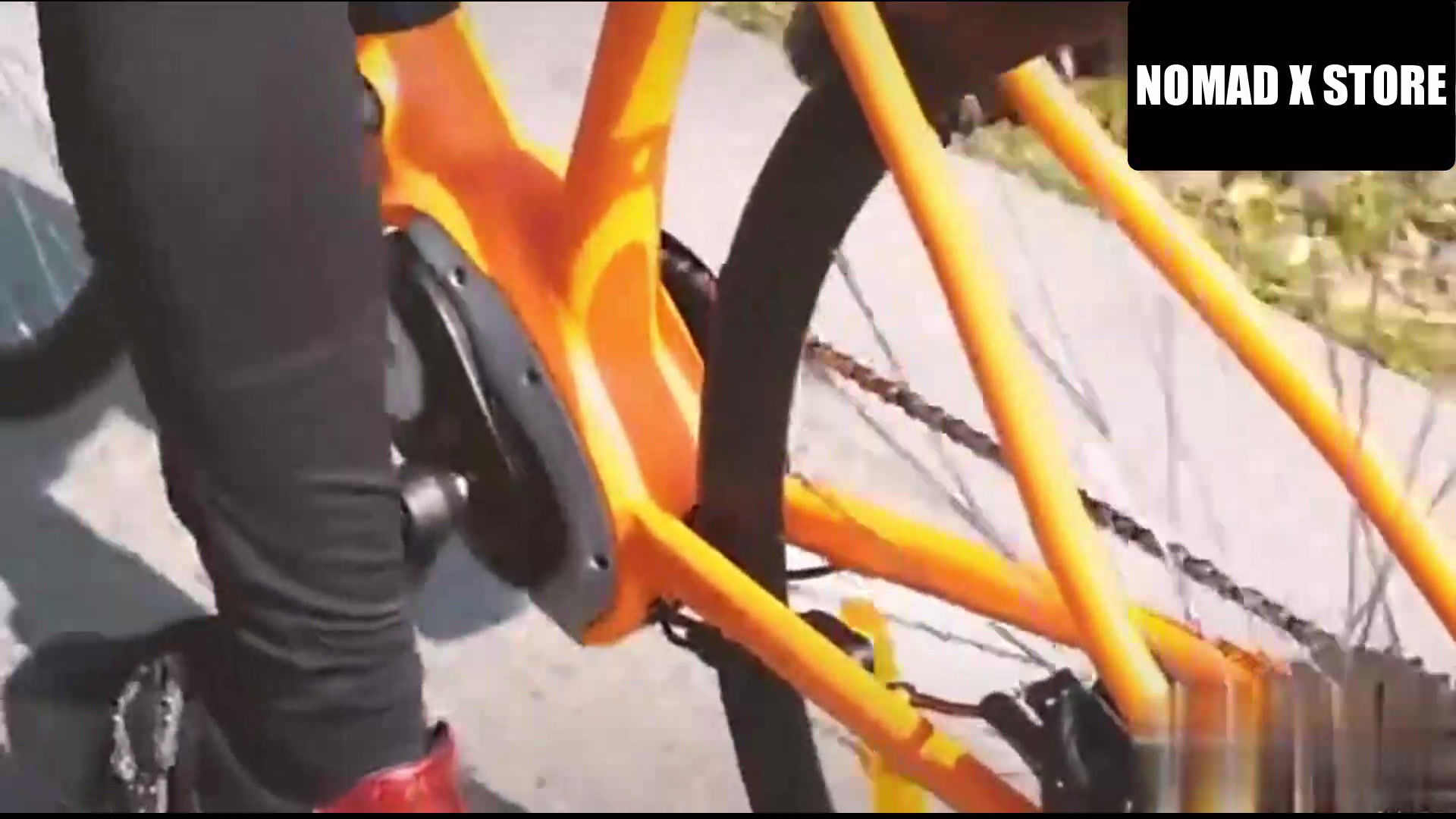 48V 1000W Dual Battery Electric Bike