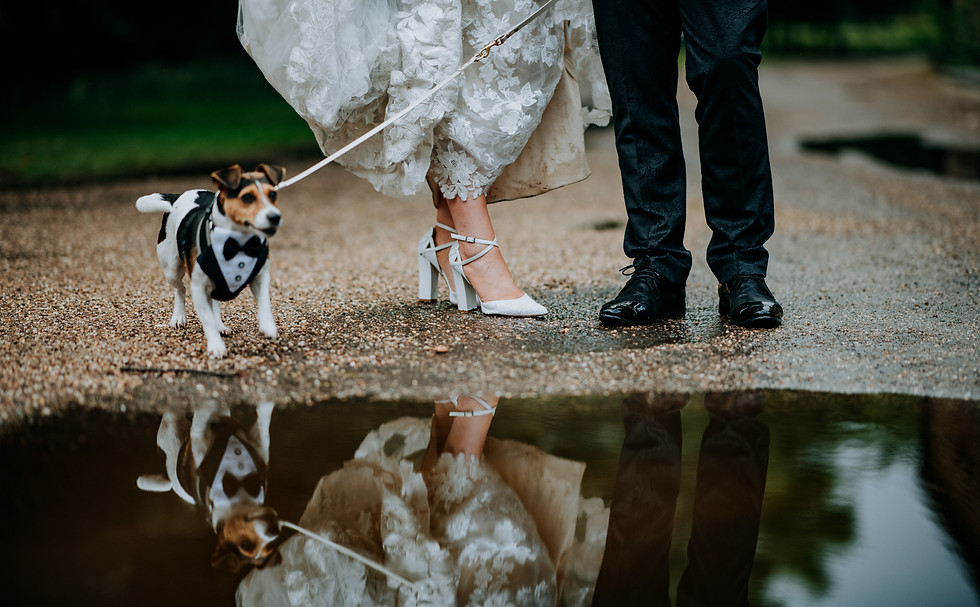 Wootton Hall Wedding Photographer