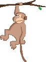 chimpance-imagen-animada-0037.gif