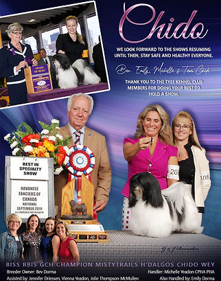 Chido 2020 Dorma_(Chido-Havanese)-07-15-2020.jpg