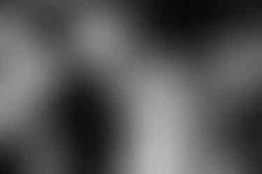 Larkspur lodge wedding photographer