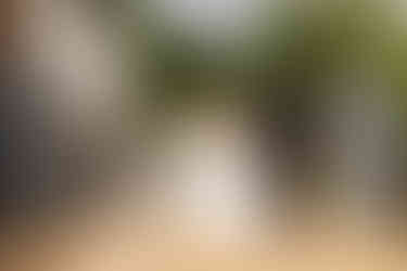 Larkspur lodge wedding Cheshire