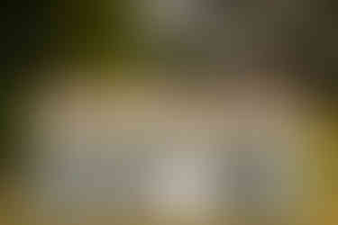 Larkspur lodge wedding photographer