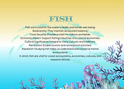 Fish.jpeg