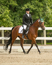 Mary Mullegan and Stoneleigh Thyme after Time