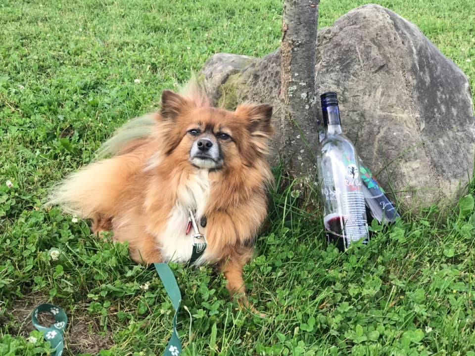 Annual meeting and awards banquet