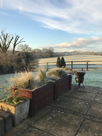 A frosty start in the garden at Heron Cottage Newhouse Barton Devon