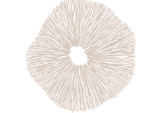 MS- LOGO-01-10.png