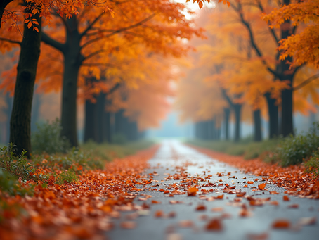Unlock Your Beauty with Seasonal Color Analysis