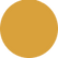 Ellipse 11.png