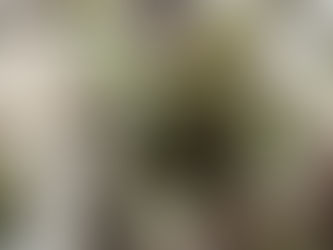 Hope Springs Eternal