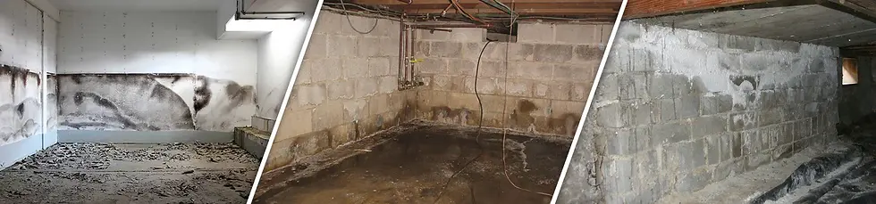 mold on walls