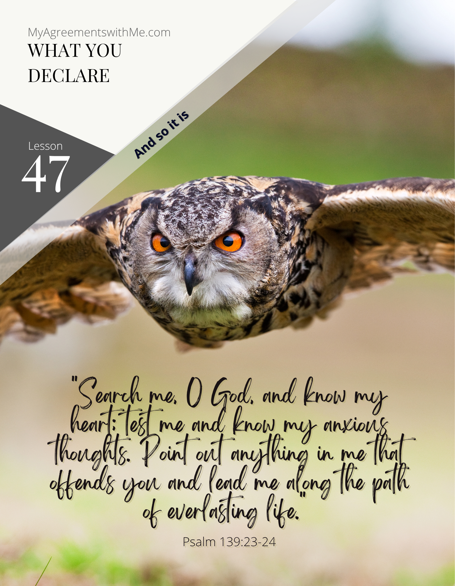 Lesson 47 What You Declare | My Agreements with Me for B